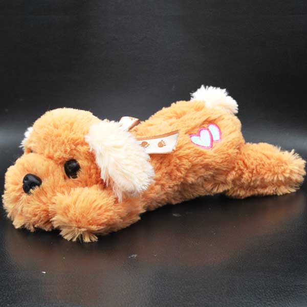 Brown Puppy